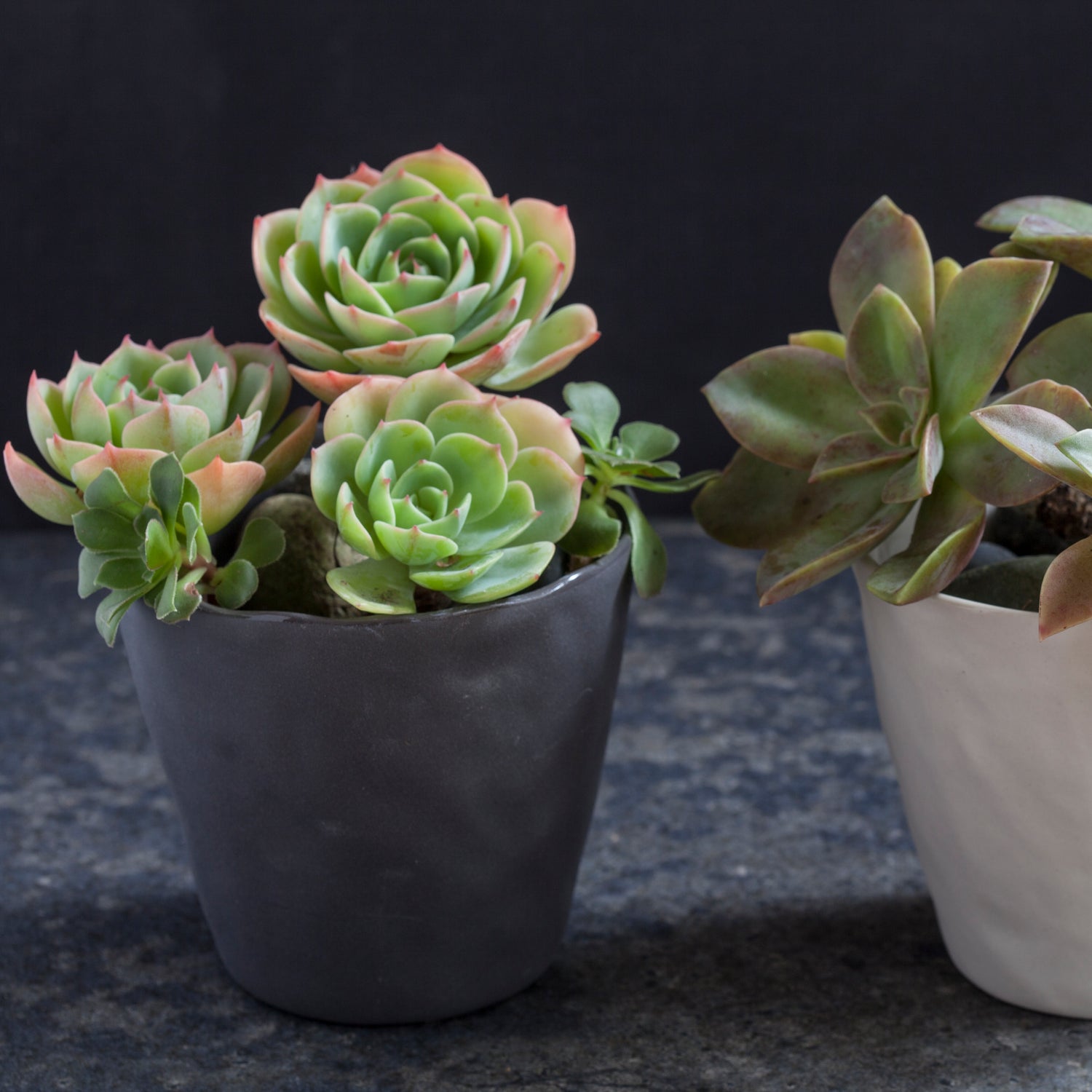 Stoneware Planter