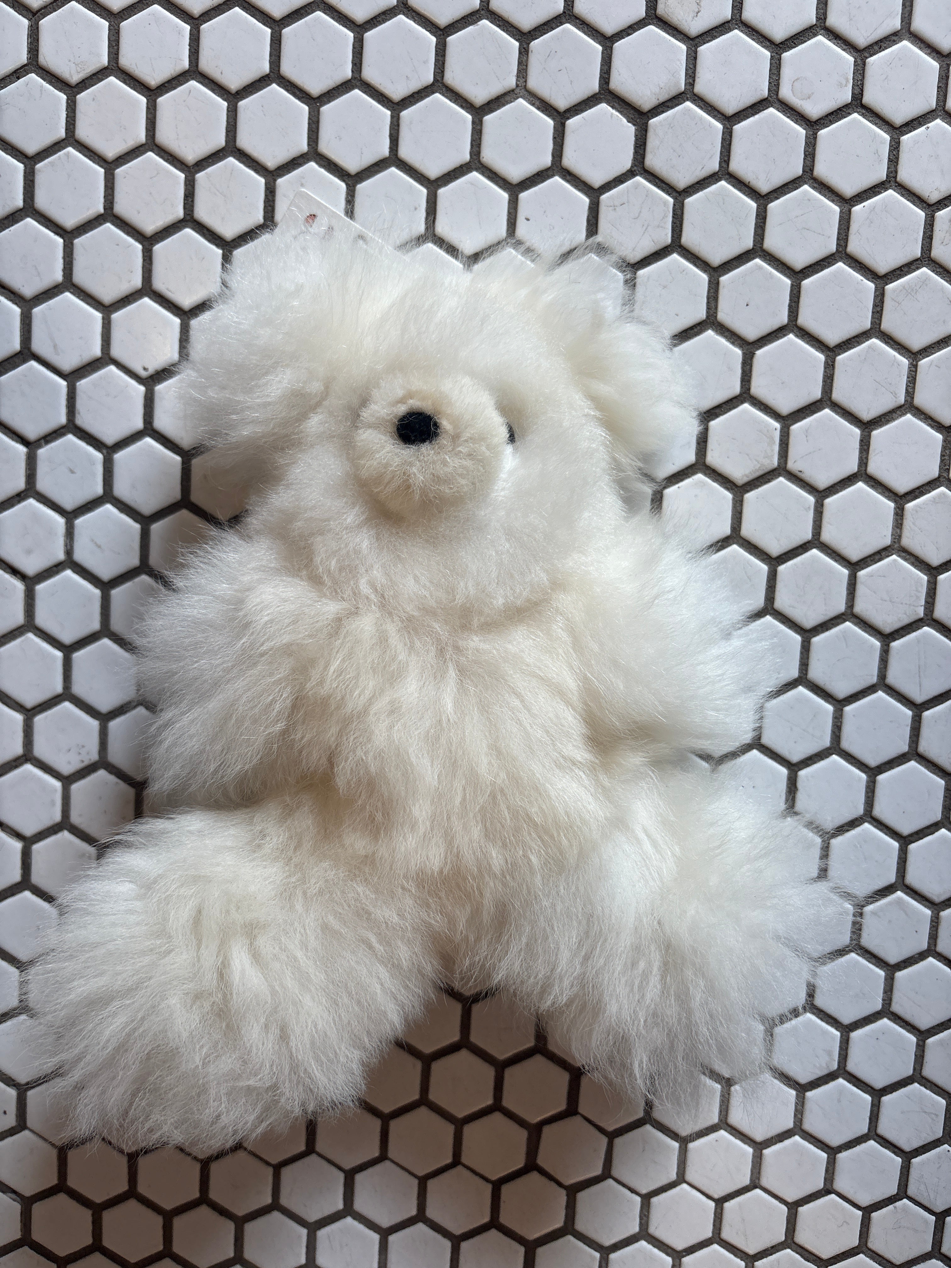 Shupaca Alpaca