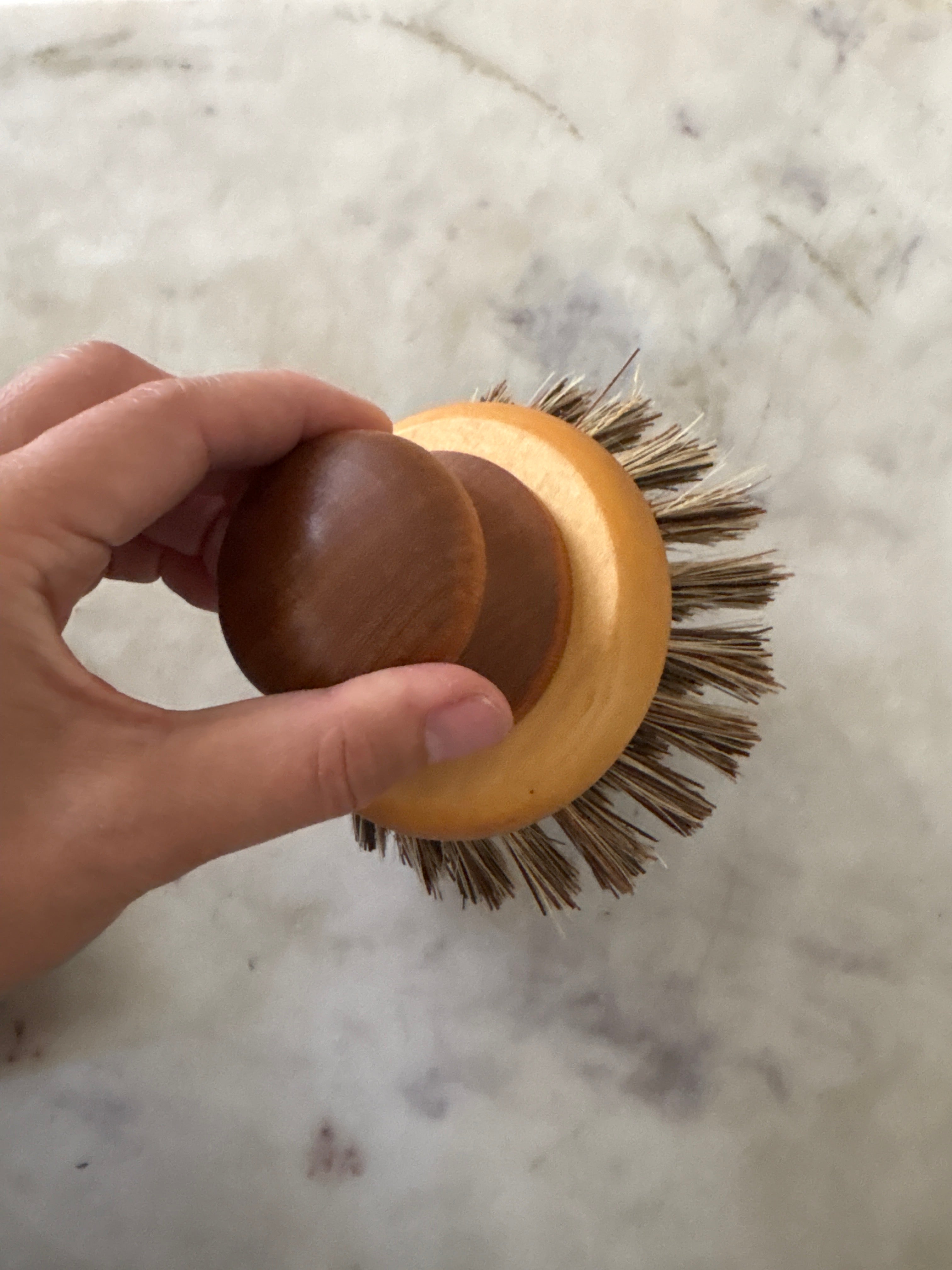Natural Dish Brushes