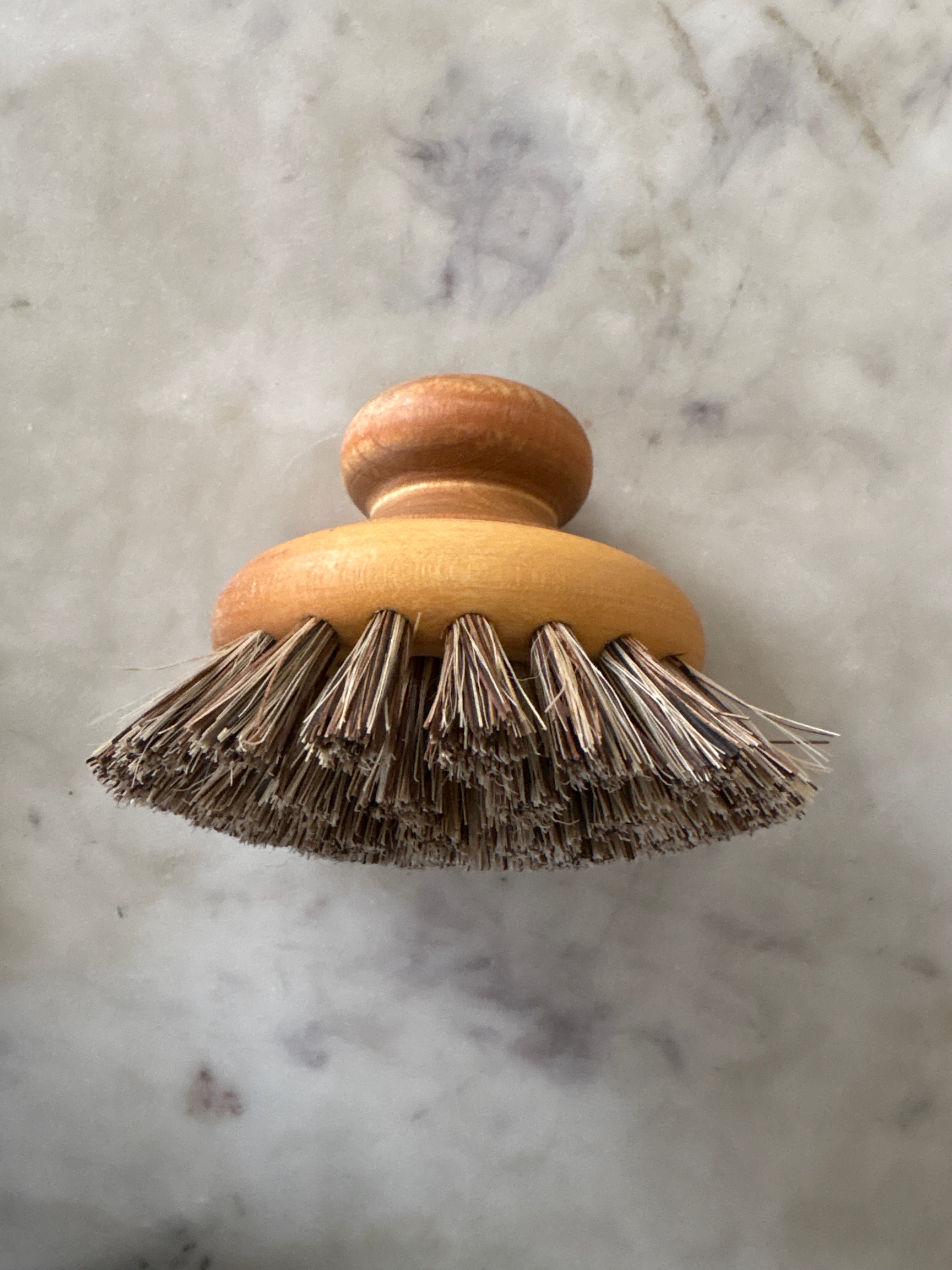 Natural Dish Brushes