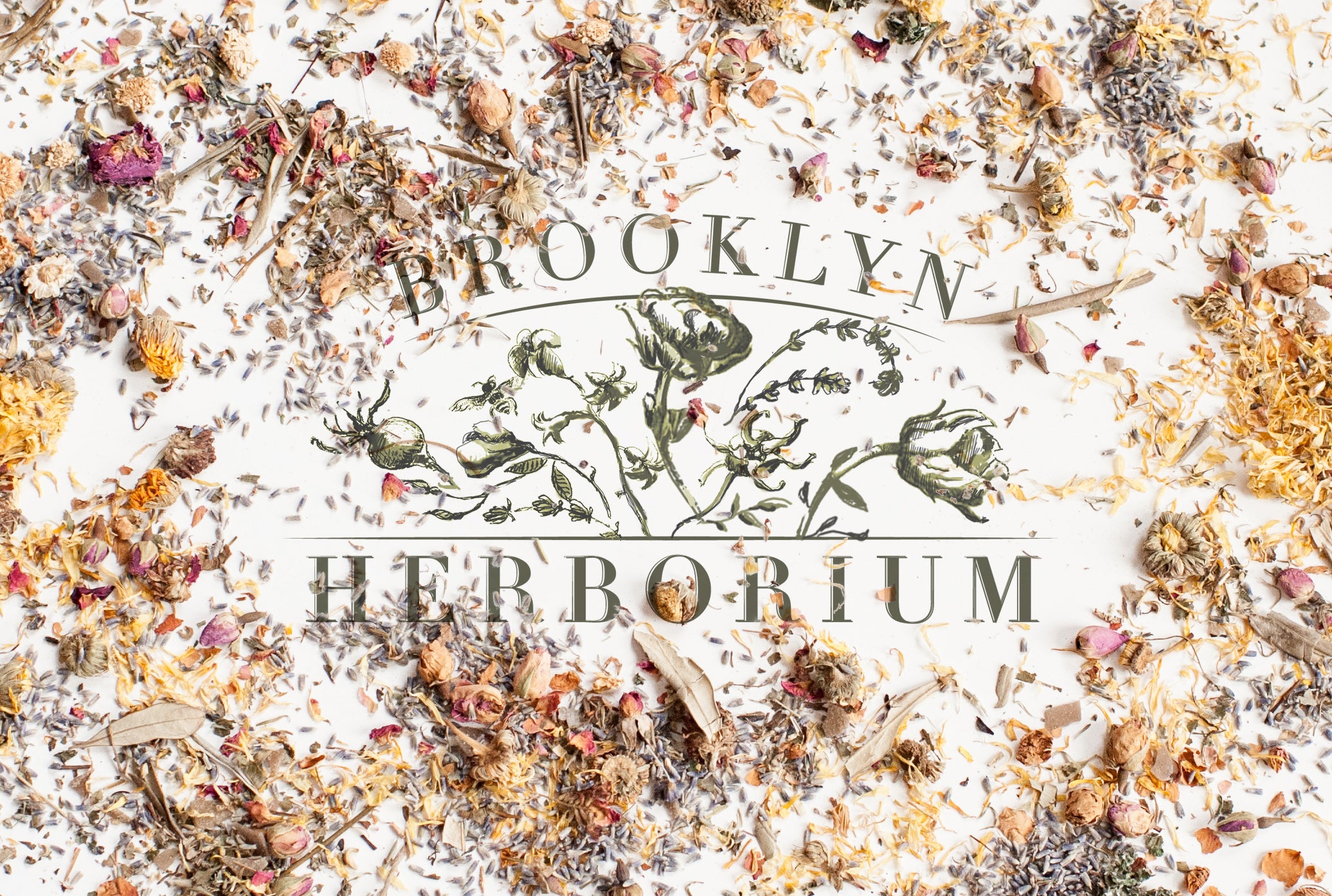 Brooklyn Herborium