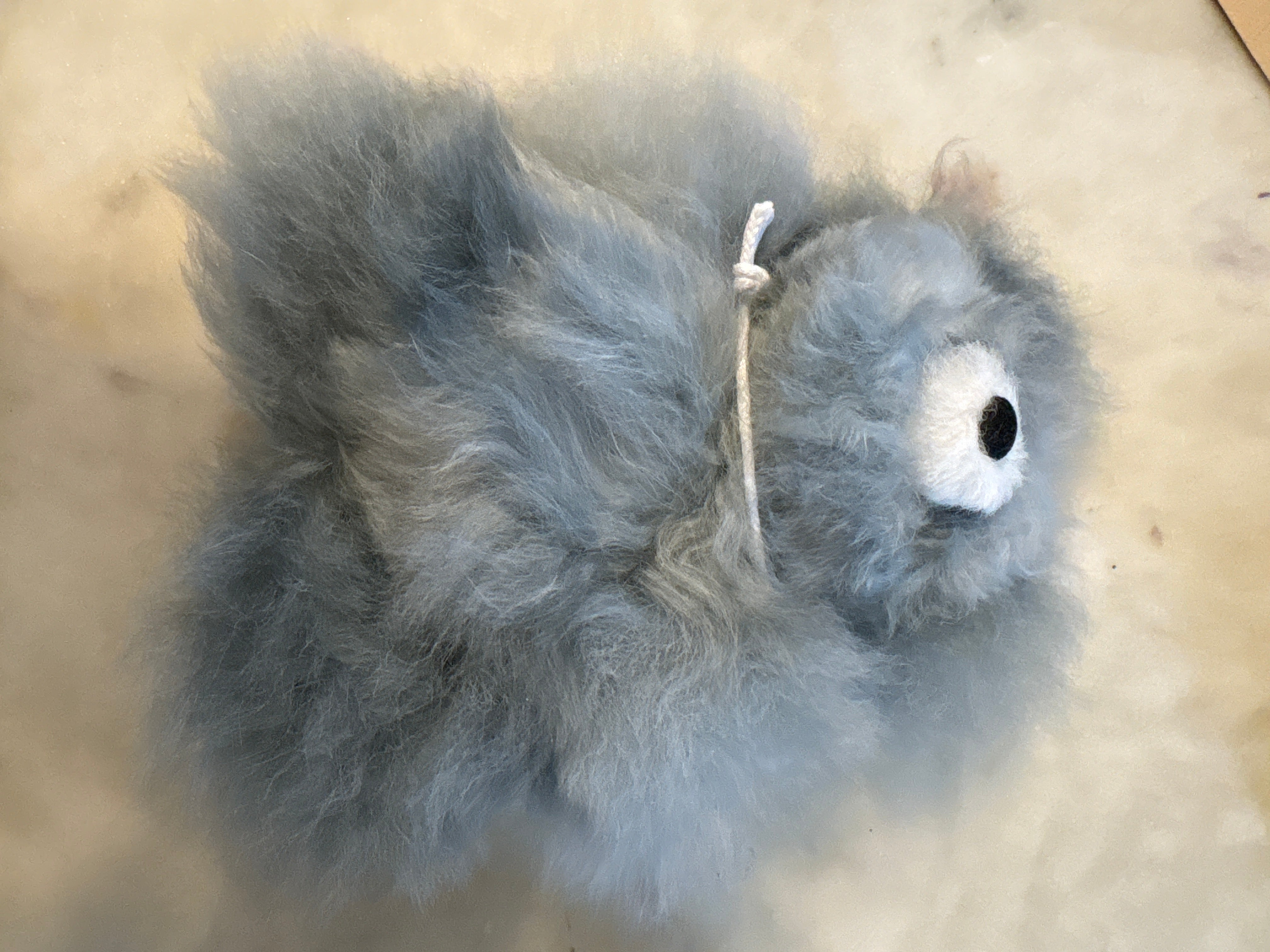 Shupaca Alpaca