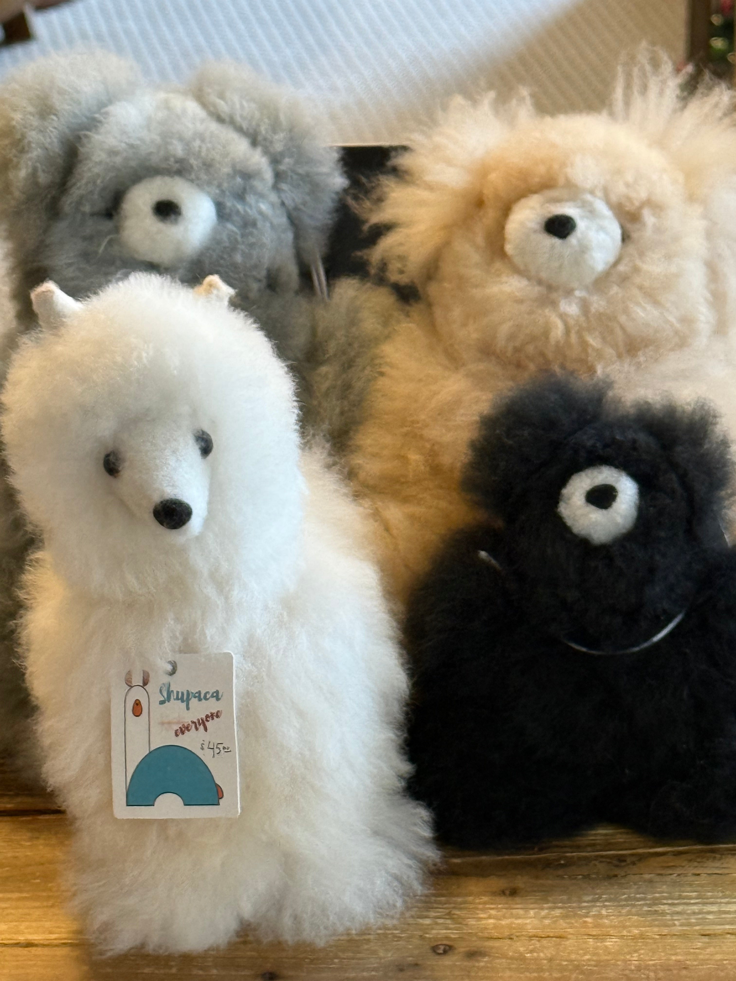 Shupaca Alpaca