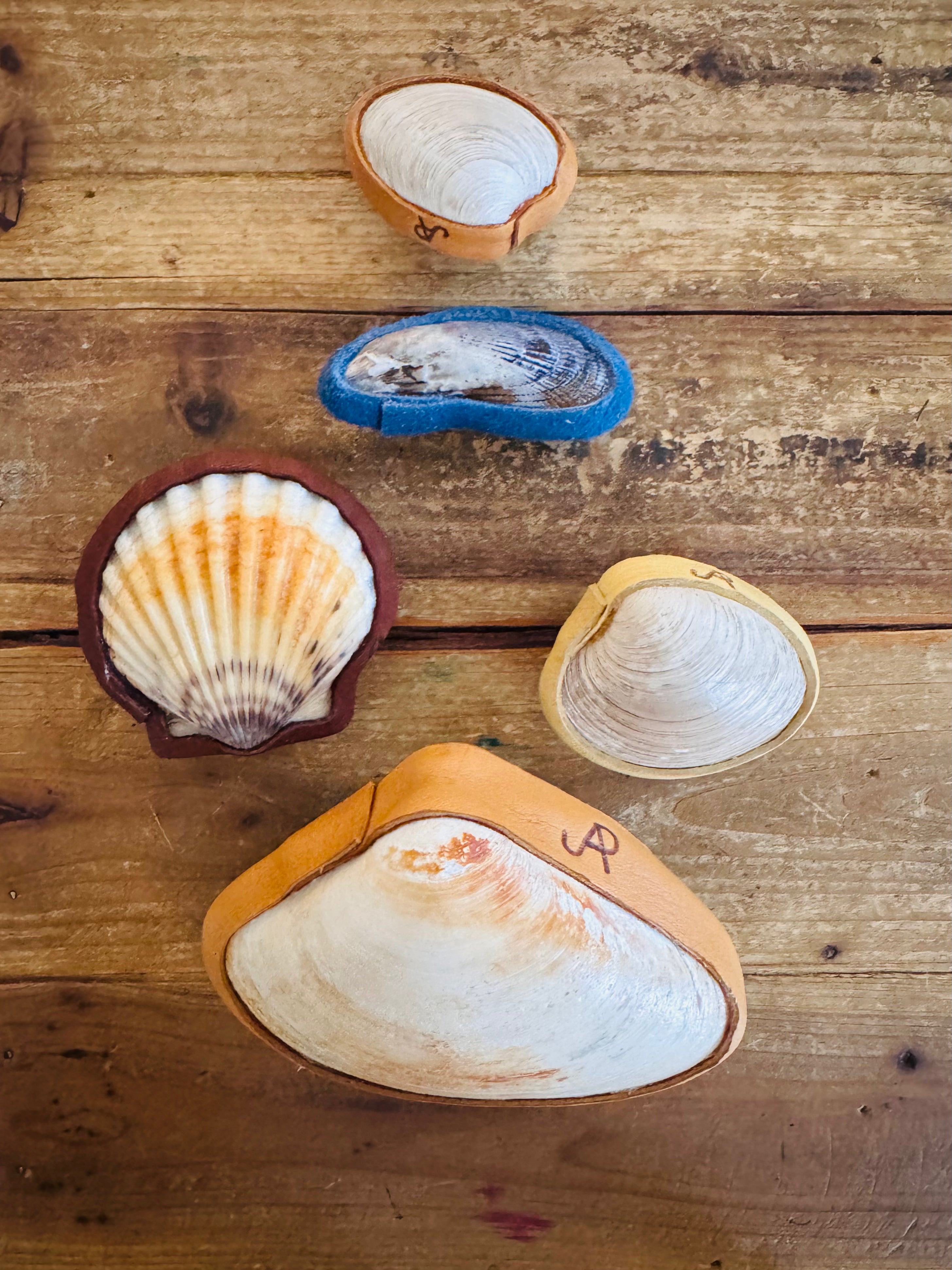 Sea Shell Rattles