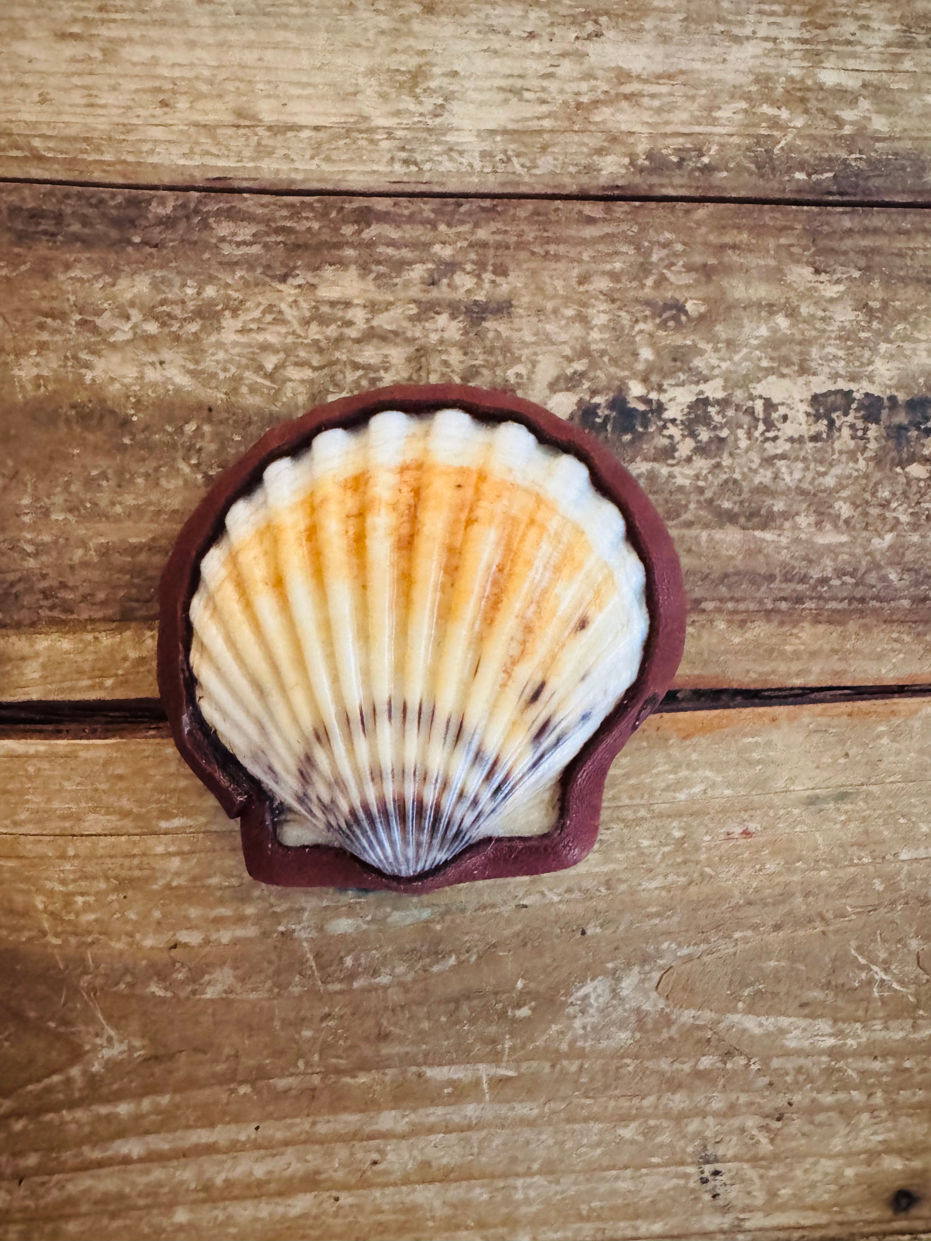 Sea Shell Rattles