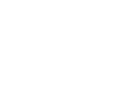 Brooklyn Herborium