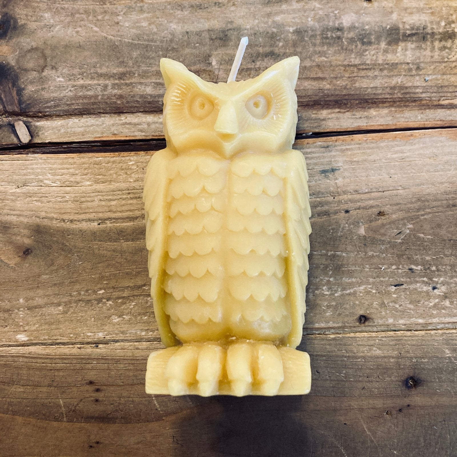 Beeswax Owl