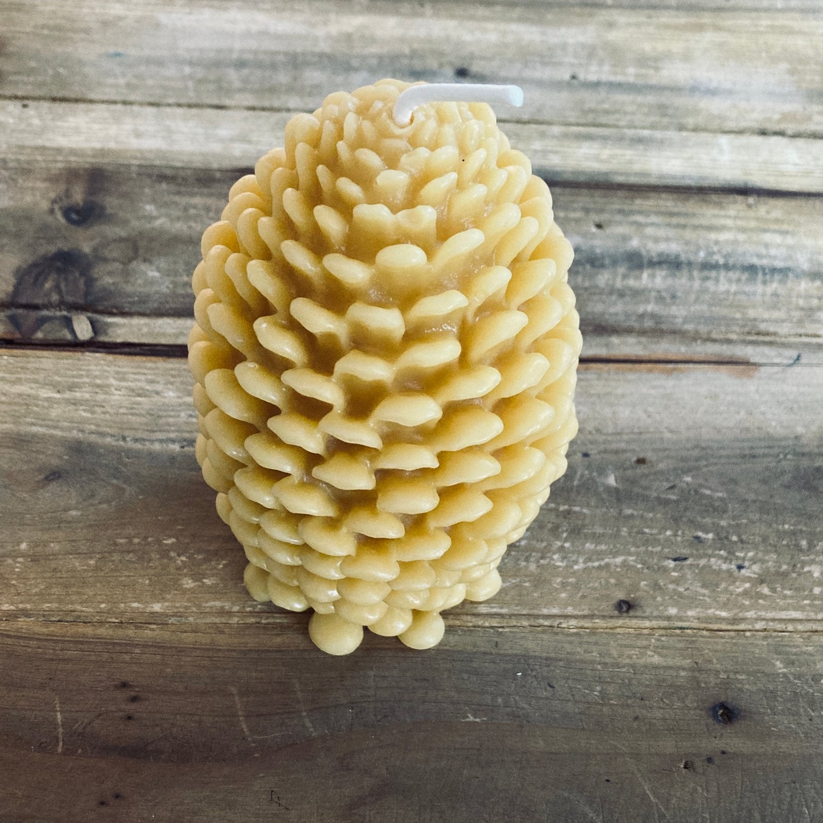 Pinecone  Beeswax Candle