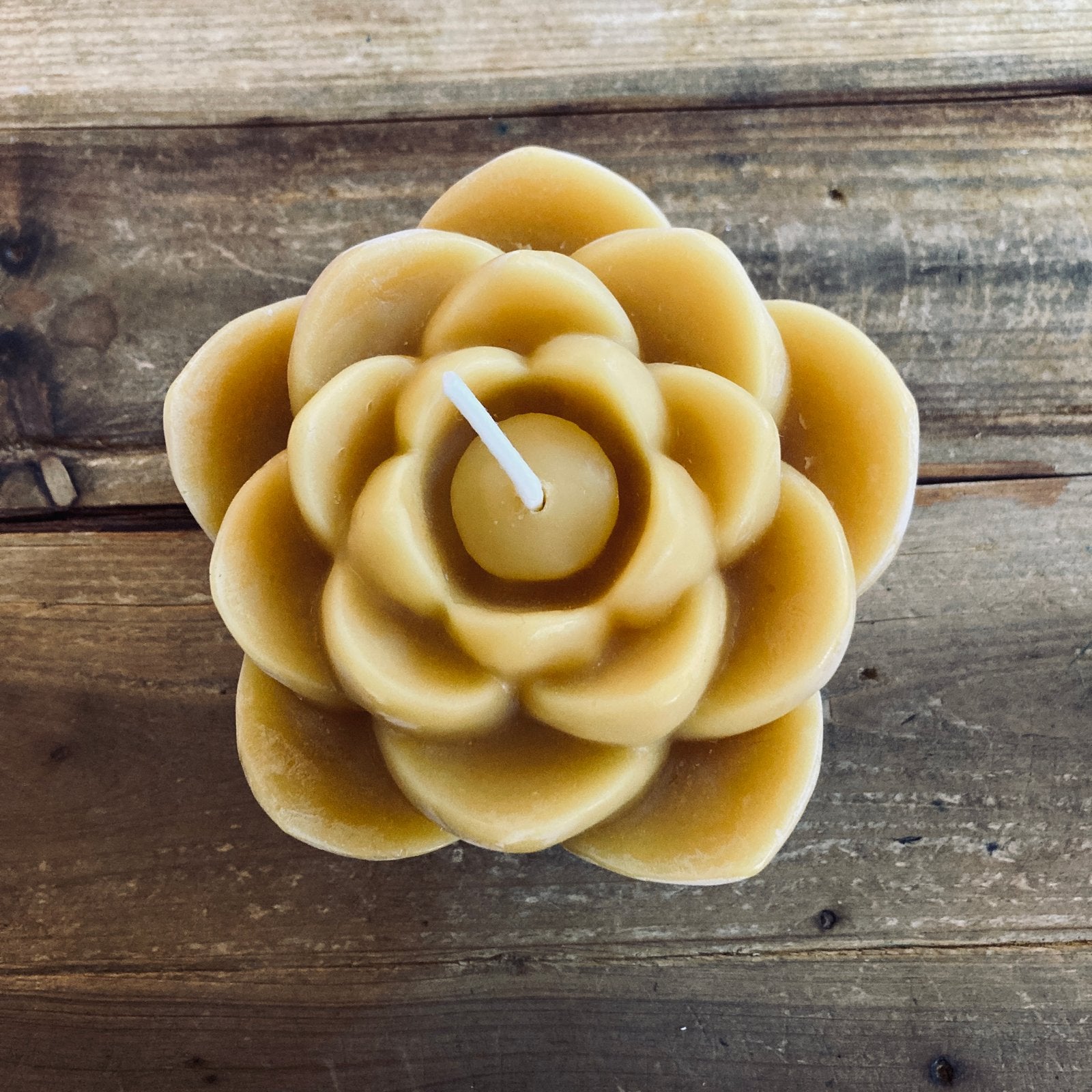 1000 Petal Beeswax Candle