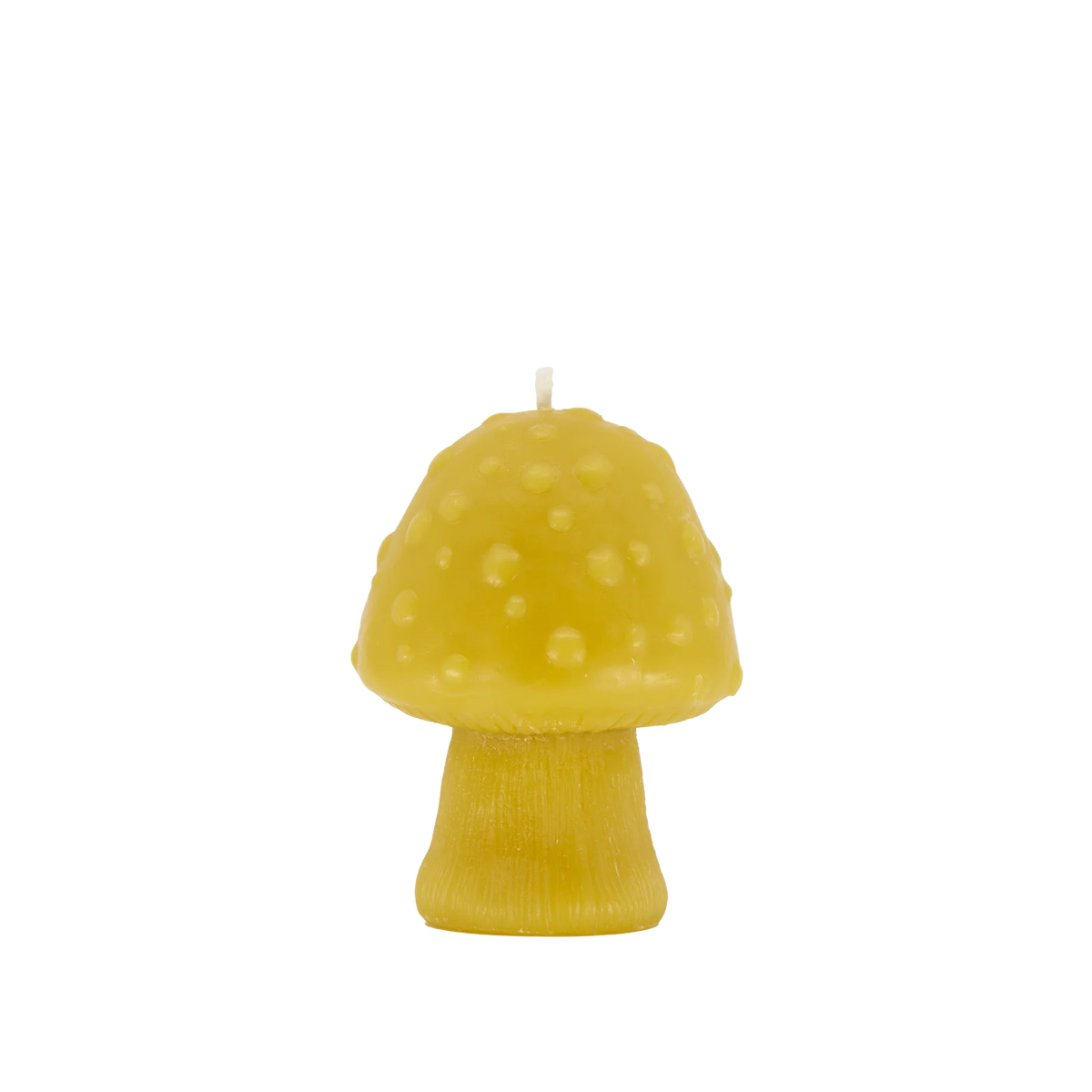 Mushroom Beeswax Candle