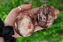 Crystal - Red Hematoid Quartz Palmstone