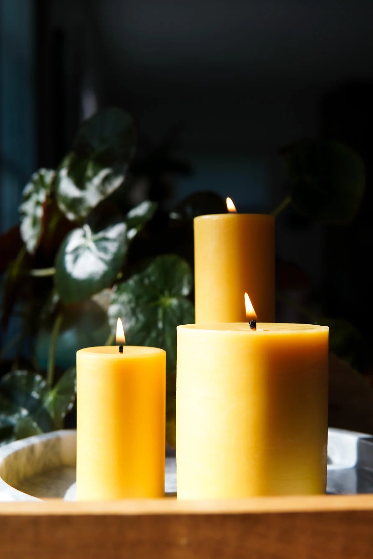 Beeswax Candle - Smooth Pillars