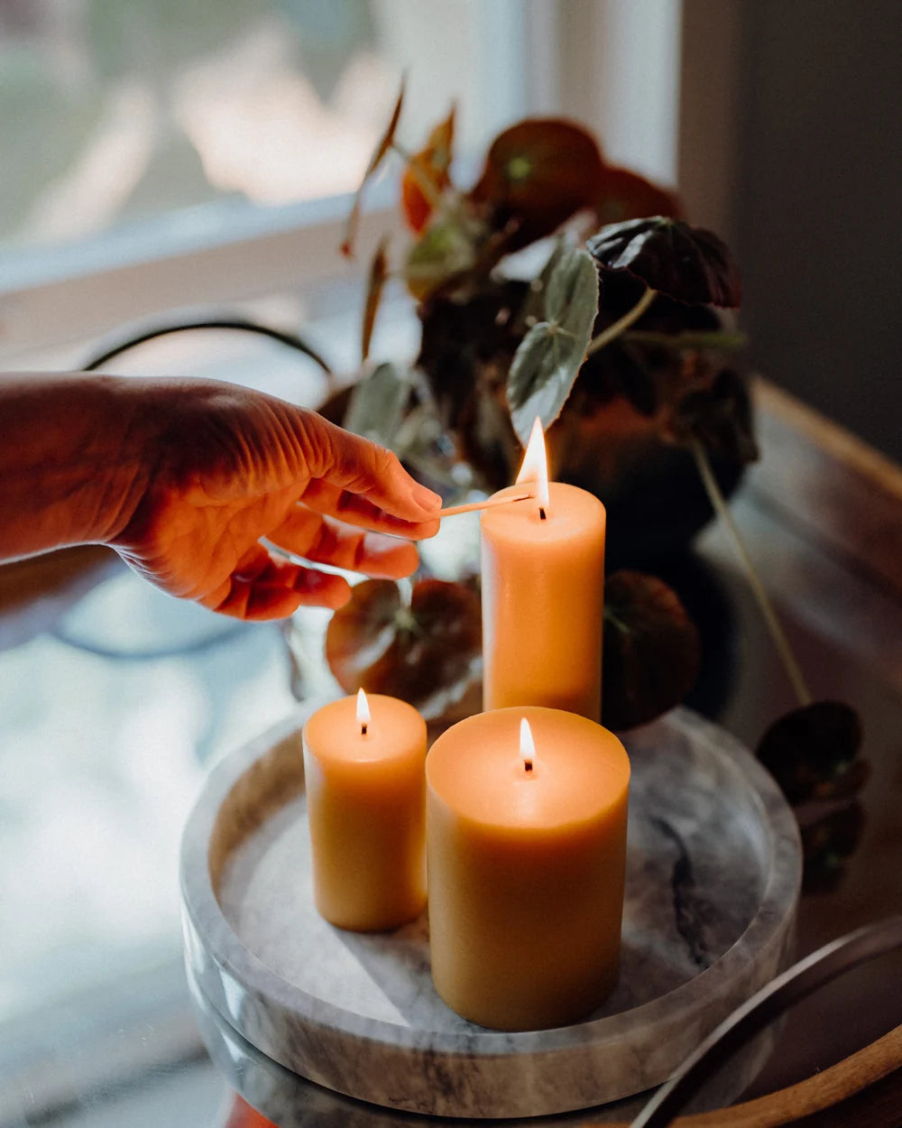 Beeswax Candle - Smooth Pillars