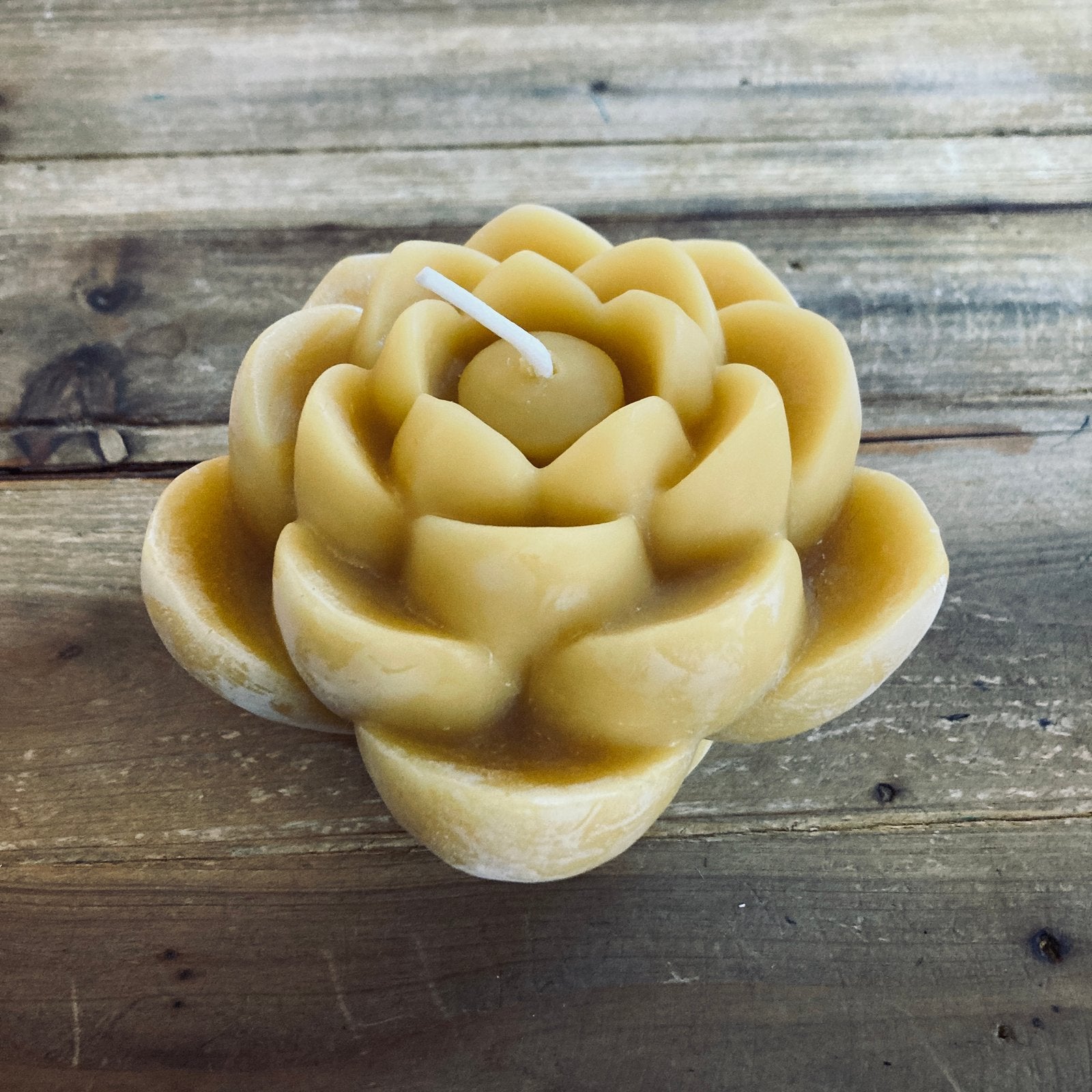 1000 Petal Beeswax Candle