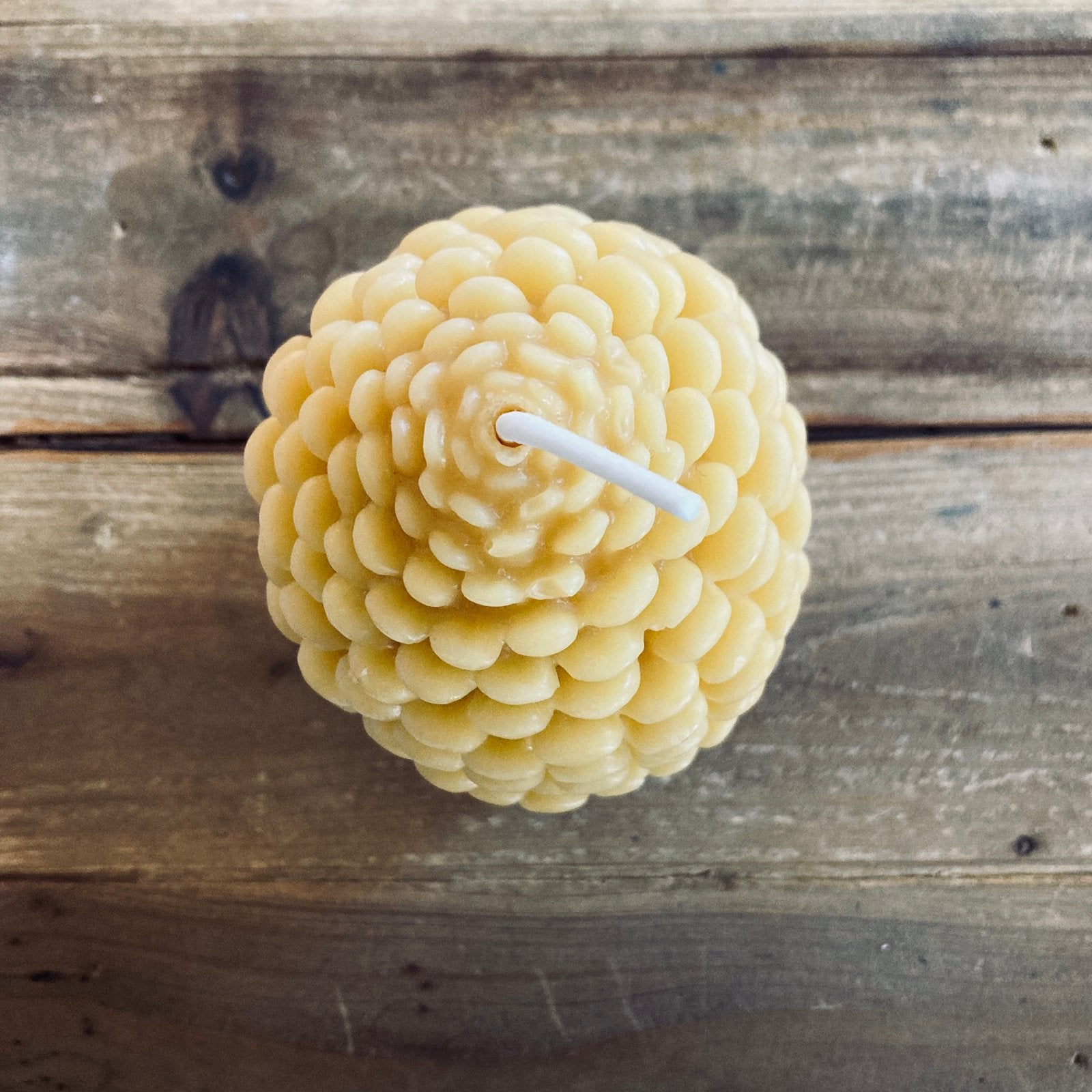 Pinecone  Beeswax Candle