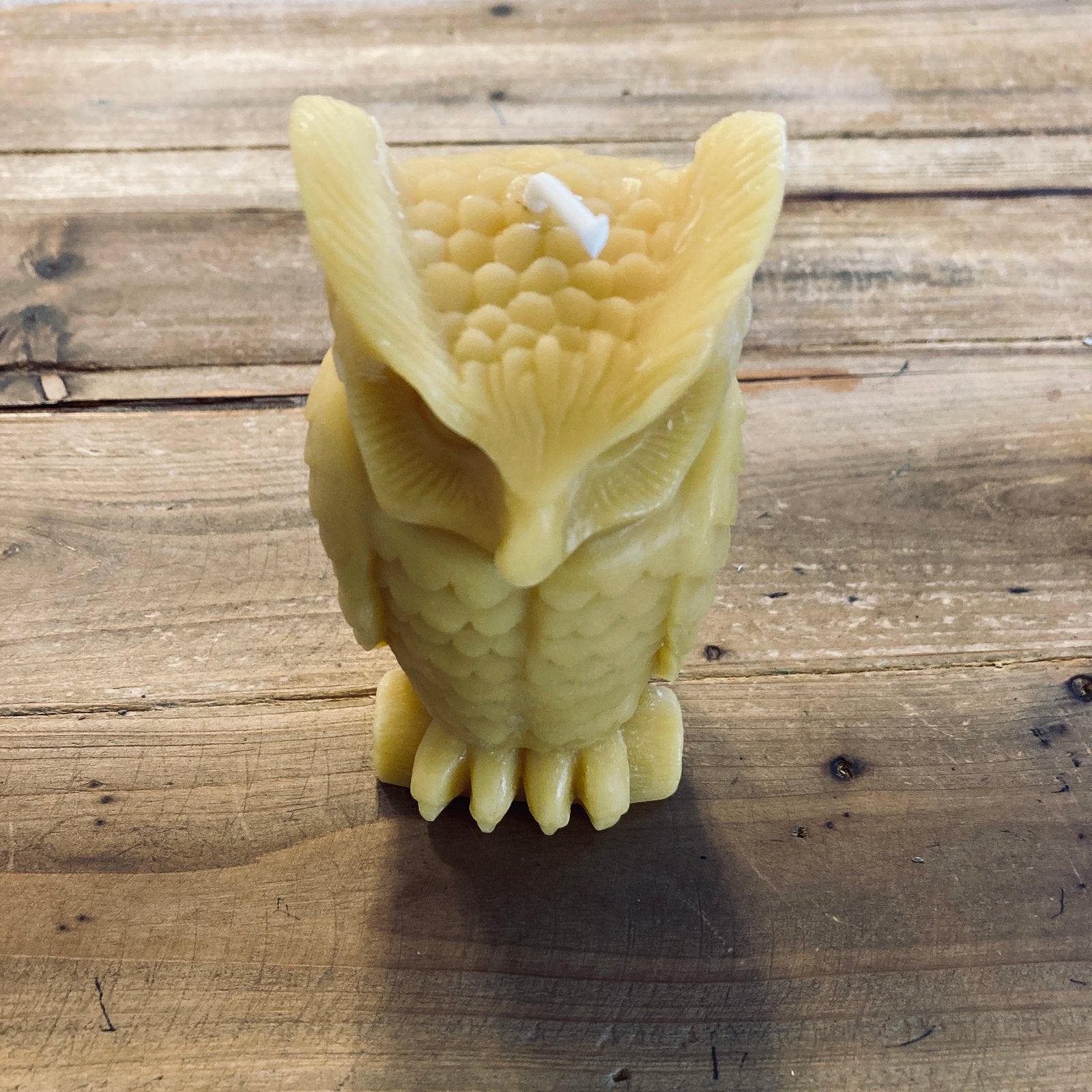 Beeswax Owl